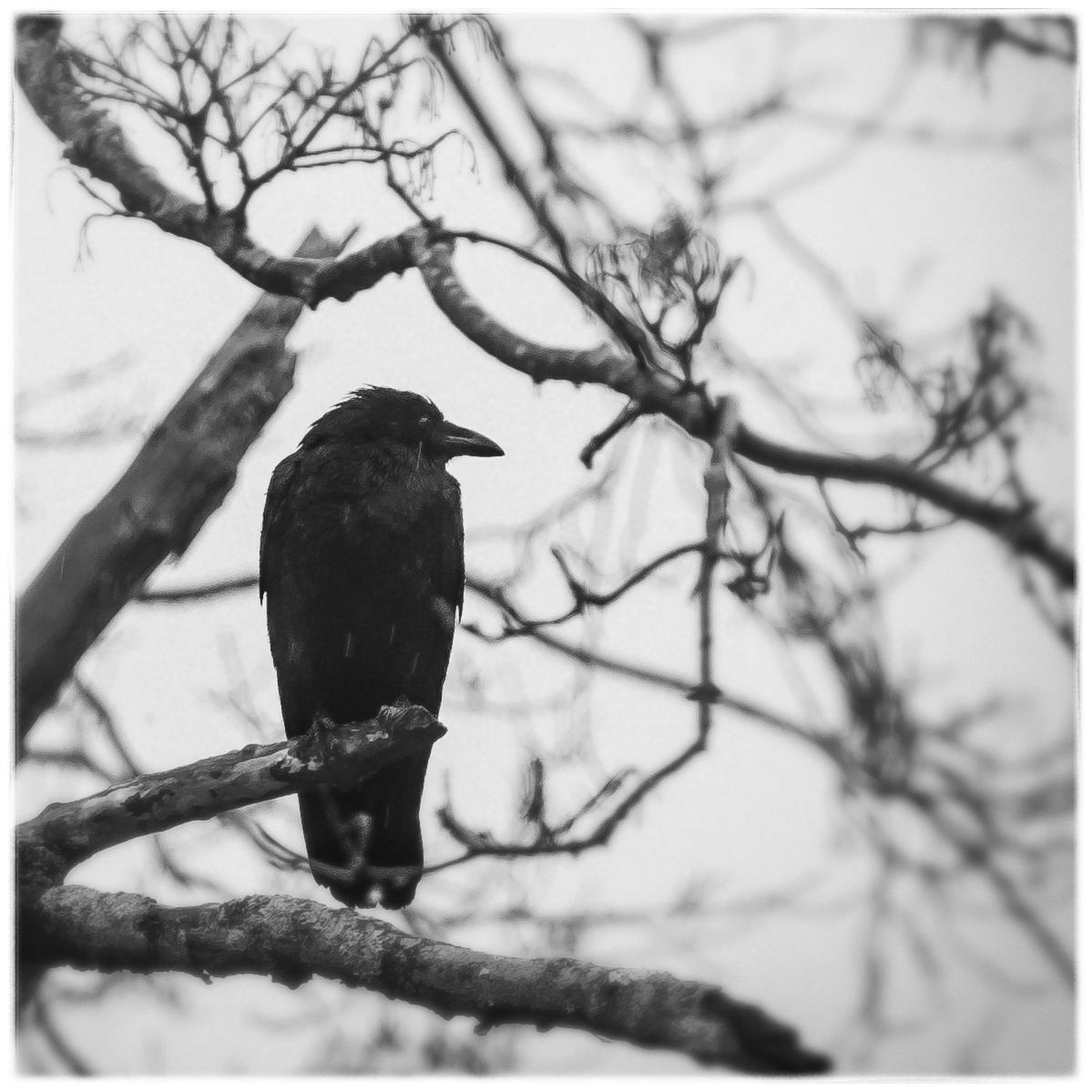 gregscranton's profile picture. 