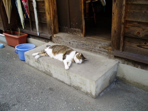 maetomorin's profile picture. 主婦…１９６５生まれ　