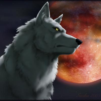 My name's Damien I'm a lone-wolf on the search for a pack I'm loyal and trustworthy and obedient to my Alpha