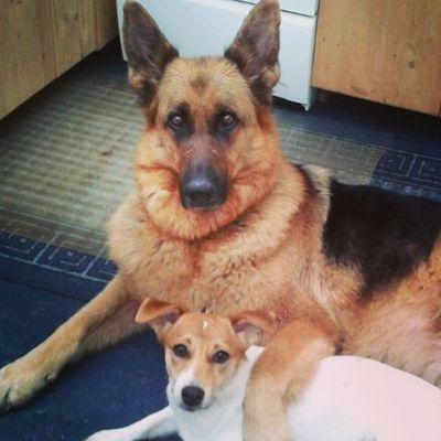 janine2319's profile picture. *Yt süchtig :D* *Bff:Maja❤️* *Hunde❤️*