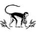 A Monkey with a Camera (@lessia) Twitter profile photo