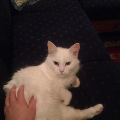 Andrea_Kiwi's profile picture. pussssen