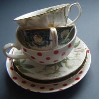 kitchen_feasts's profile picture. 