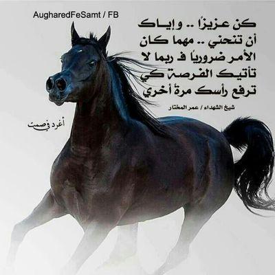 سبحانك الله وبحمدك