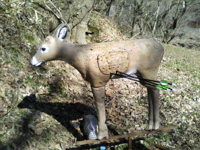 I love bowhunting. I'm a husband, farther of two wonderful daughters. I work as a maintenance/welder but my passion is the outdoors.