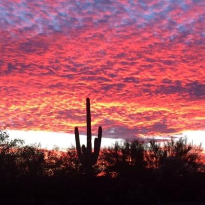 Andy serves as Public Information Officer with the Tucson City Manager's Office.