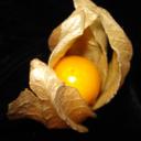 Ed Miranda - @Senzo0 - Twitter