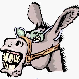 thrash11's profile picture. 