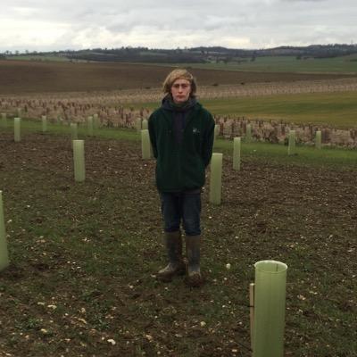 WagstaffElliot's profile picture. 