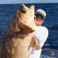Billy Delph (@billydelph) 's Twitter Profile