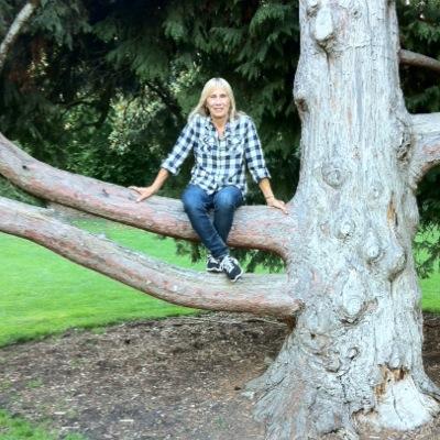 dianerose56's profile picture. 