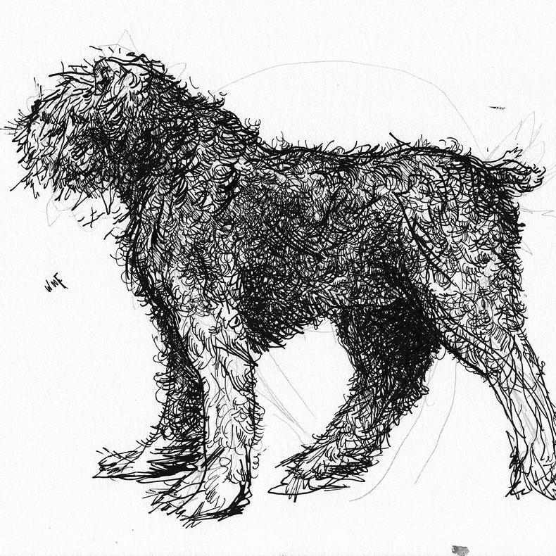 Anenglishplace's profile picture. 