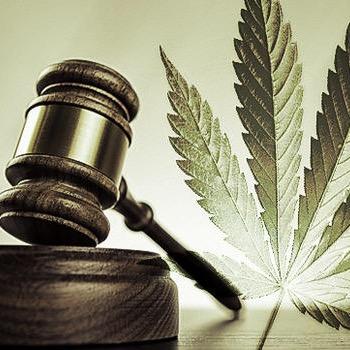 THIS COUNTRY IS READY FOR CHANGE. FREE THE PLANT, LEGALIZE MARIJUANNA. Join the movement