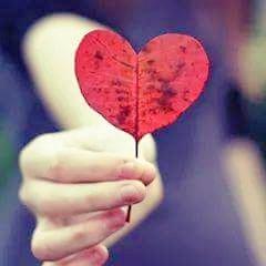 lorecamama's profile picture. 