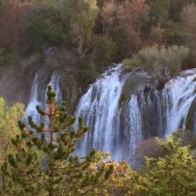 rosettehaddad's profile picture. 