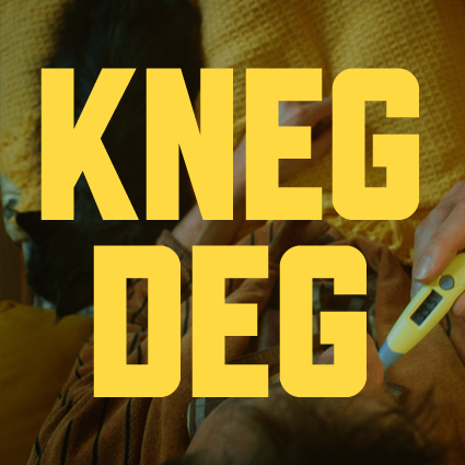 knegdeg's profile picture. 