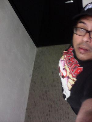 Gerrymetal666's profile picture. El metal corre por mis venas.Puro Fucking Metal !!! Apasionado de las bellas mujeres metaleras y gorditas Chubby Beautiful !!!