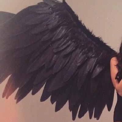 Fa5oorie's profile picture. walking my dragon, catch me if you can.