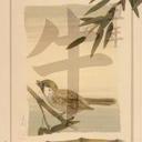 Fred Jonas - @sparrow794 - Twitter