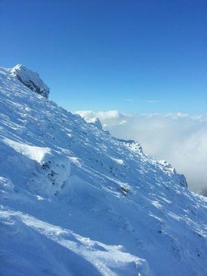 gastroCEM's profile picture. Perquè aventures hi ha de moltes maneres.