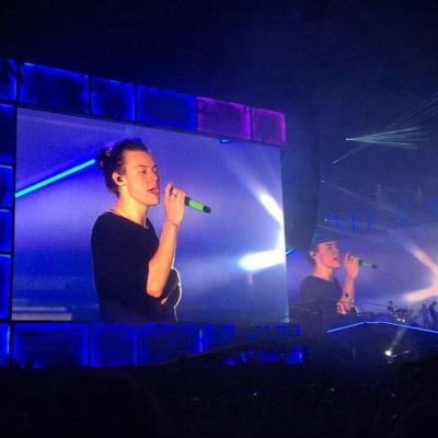 Harry styles wbu