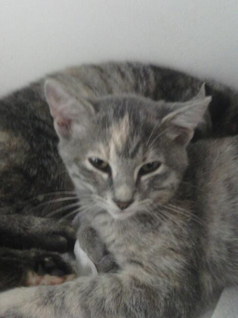 xxgame69dudexx's profile picture. 