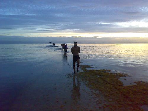 Rustanto0's profile picture. 