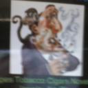 Melanie Patton - @captainzibannax - Twitter