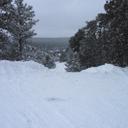 Carrie Shaw - @cm_shaw - Twitter