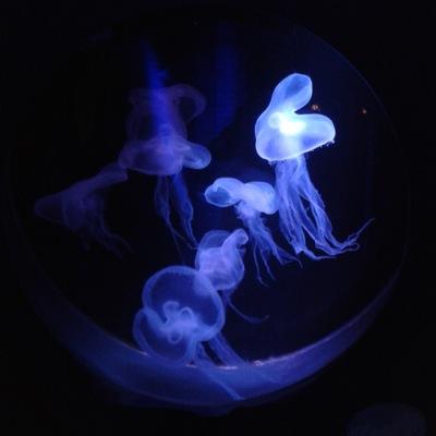 lyte_84's profile picture. 