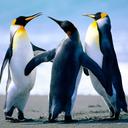 emma nuñez - @EMMA2A5A - Twitter