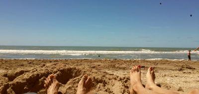 pollo1469's profile picture. 