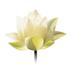 Athletic Club & Spa Anjali at Westin Riverfront (@spaanjali) Twitter profile photo