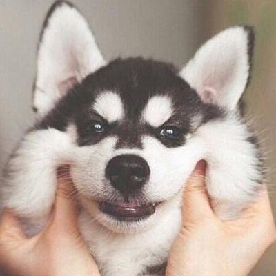 bbaboru's profile picture. new account ◡̈