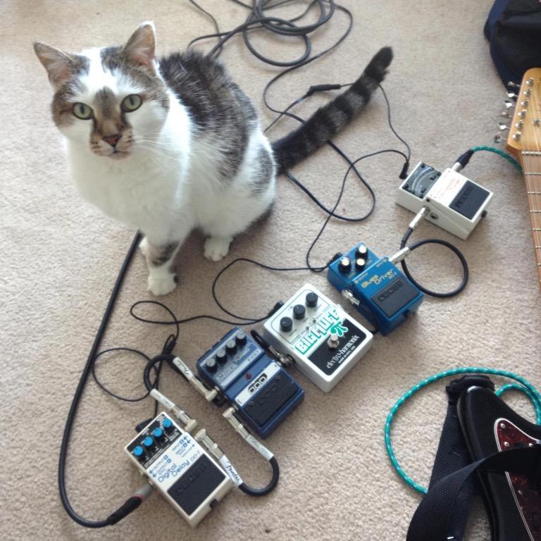 Windmillsisband's profile picture. A healthy serving of noisy pop, followed by a second helping of poppy noise. We're guaranteed and qualified to be louder than god.