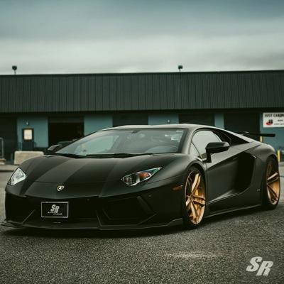 hawk_haw's profile picture. 