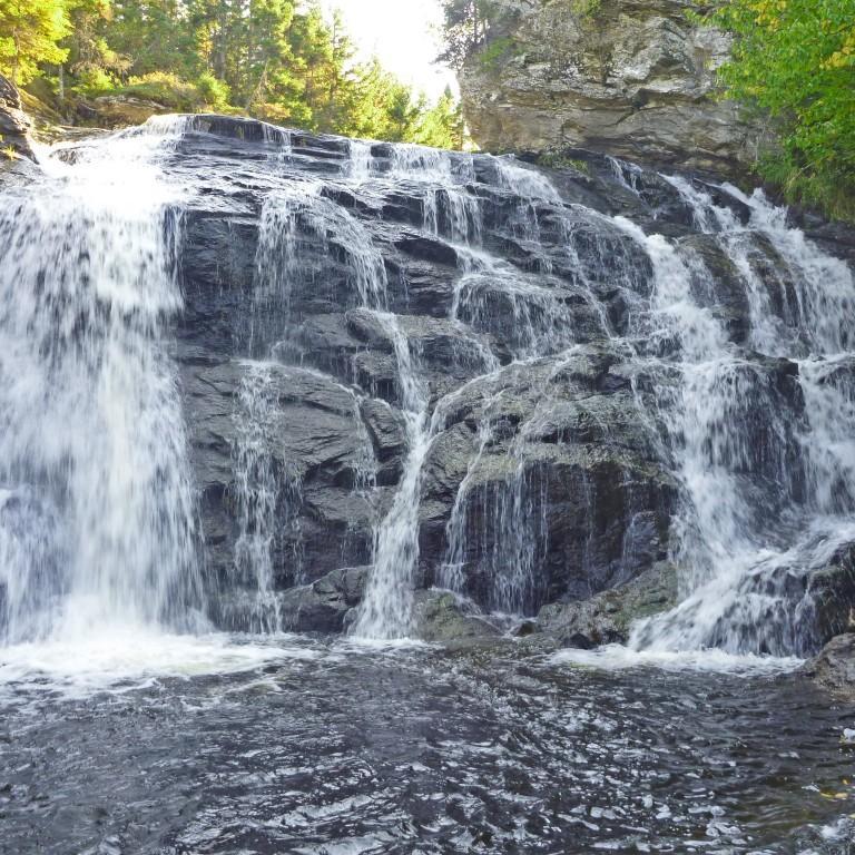 theonildak's profile picture. 