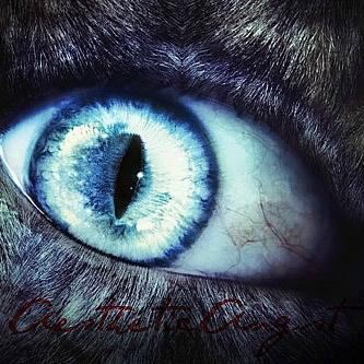 AestheticAngst_'s profile picture. Those you trust the most are all the more likely to find it easier to stab you in the back. **DM for a role, today.**