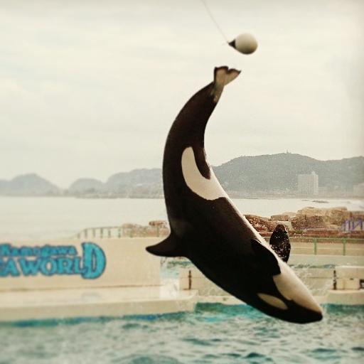 pamin_'s profile picture. 新宿で働く普通のサラリーマン。最近ちゃんと自炊してます。脱不健康。