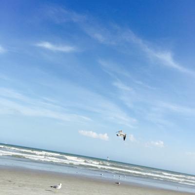 mlqoot's profile picture. 