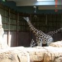 Kara Nally - @kmnall - Twitter