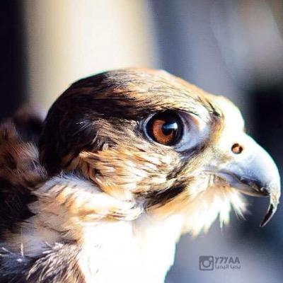 bdooer1980's profile picture. 