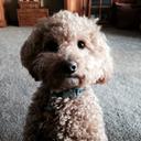 Teri Lehner - @teri_lehner - Twitter