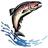 issaquahpress's profile image