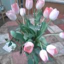 Tammy Chambers - @tjc2769 - Twitter