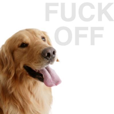 dogs are dumb and worthless sacks of complete shit.