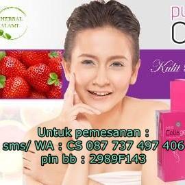 Pemutih Wajah Alami, Pemutih Badan Alami, Pemutih Kulit Alami, Penghilang Jerawat, Penghilang Flek Hitam, WA/Hp 0877 3749 7406, pin BB : 2989F143