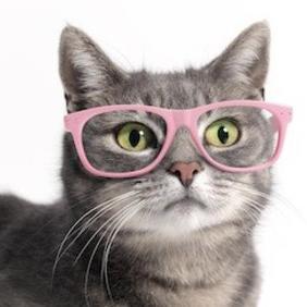 jasminewhite99's profile picture. Author of clean romantic suspense, usually set in the 1950's--the more cigarette smoke and pinstriped suits the better. Lover of cats, sleep, and espresso.