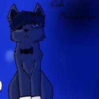 hi i'm a anime game and computer nerd  I love my seke heheeheh   # uke   #gay #single #bulterless