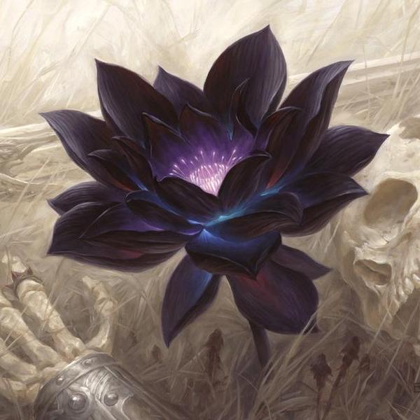 _avast01's profile picture. 